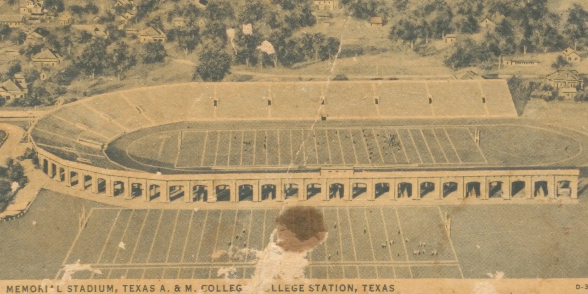 Kyle Field_ratio 2