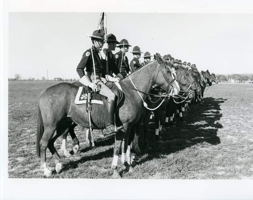 Parsons Mounted Cavalry 3_Cushing