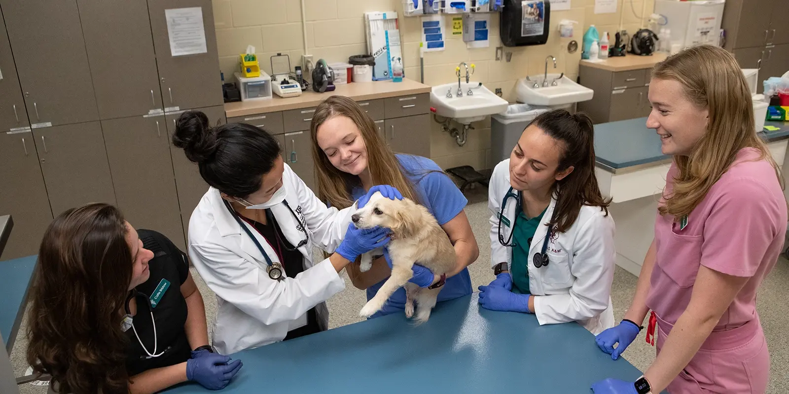 VetMEd Clark Small Animal Hospital 1_resized