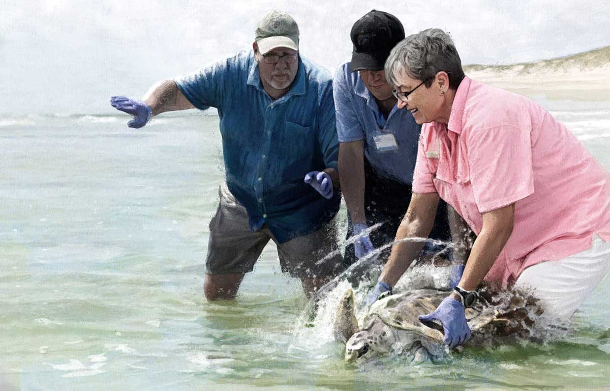 cheryl_seaturtles